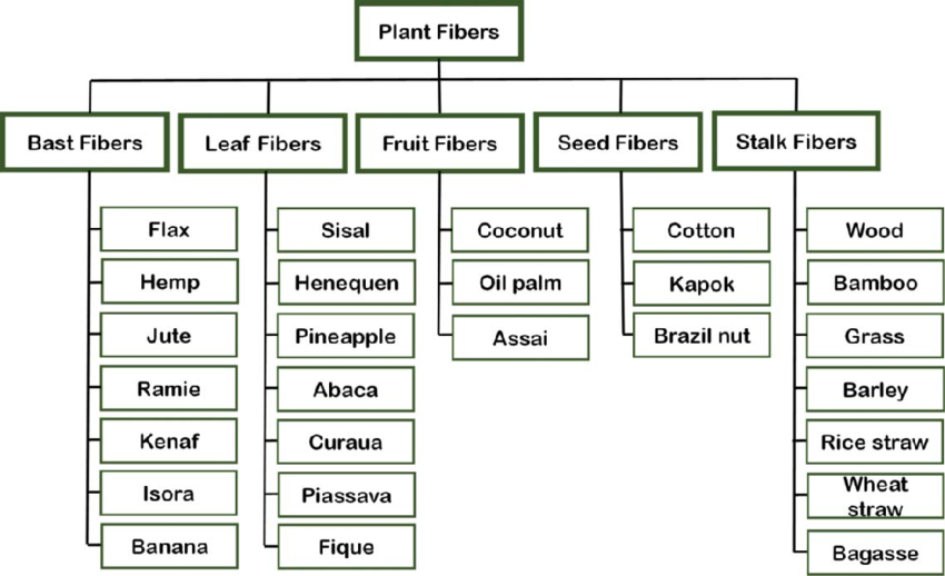Quelles plantes sont utilisées pour les fibres.png